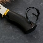 Нож кавказский "Шаман" с ножнами, гарда -латунь, сталь - 65х13, рукоять - граб - Фото 2