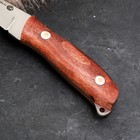 Нож кавказский "Грибник" с ножнами, сталь - 65х13, рукоять - бук - фото 25601270