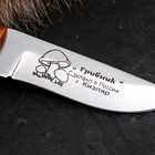 Нож кавказский "Грибник" с ножнами, сталь - 65х13, рукоять - бук - фото 25601271