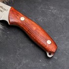 Нож кавказский "Корсар"с гравировкой "ВДВ" с ножнами, сталь - 65х13, рукоять - бук - фото 24712885