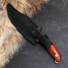 Нож кавказский "Корсар"с гравировкой "ВДВ" с ножнами, сталь - 65х13, рукоять - бук - фото 24712887