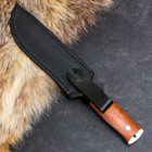 Нож кавказский "Север" с ножнами, сталь - 65х13, рукоять - бук - Фото 4