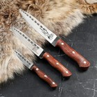 Набор ножей "Хозяюшка" в шкатулке, клинок 10/17/20 см, сталь 65х13, рукоять - орех - фото 2128273