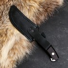 Нож кавказский "Берш" с ножнами, сталь - 65х13, рукоять - граб - фото 25601280