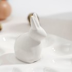 УЦЕНКА Подставка для яиц Доляна «Зайка», 19×9 см, 8 ячеек - Фото 5