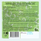 Хлоргексидина биглюконат раствор 0.05% средство дезинфицирующее, 5 л - Фото 3