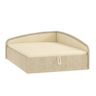 Тесла милк/Тесла мокко