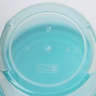 Набор банок для хранения продуктов с крышкой «Фиджи», 2 шт.: 0.7 л, 1 л, крышка МИКС - Фото 6