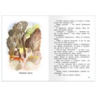 Рассказы и сказки о животных, Бианки В. Школьная библиотека 9633484