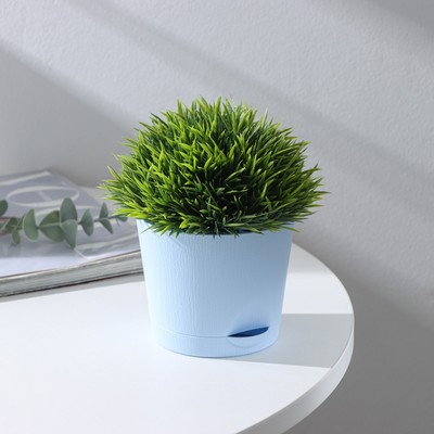 Горшок для цветов с прикорневым поливом «Альянс», 0.4 л, d=10 см, h=8.5 см, пластиковый, голубой