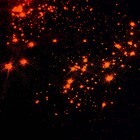 Краситель пищевой неоновый KONFINETTA, коралловый, 7 г - Фото 7