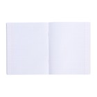 Тетрадь предметная 48 листов в клетку "Аниме.Информатика", обложка мелованный картон, УФ-лак, блок офсет - фото 22245138