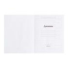 Дневник для 5-11 классов, 48 листов "Аниме девочка", твёрдая обложка, матовая ламинация - Фото 4