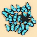 Акриловое изделие «Бабочка», 2 х 2 см - Фото 2