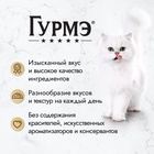 Влажный корм Gourme Perle для кошек, говядина, соус, 75 г 9625543 - фото 1602190