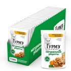 Влажный корм Gourmet «Натуральные рецепты» для кошек, курица/морковь, 75 г - Фото 3