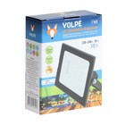 Прожектор светодиодный Volpe ULF-Q513 30W/BLUE, 30 Вт, IP65, Синий свет - фото 22247242 Прожектор светодиодный Volpe ULF-Q513 30W/BLUE, 30 Вт, IP65, Синий свет - фото 22247242