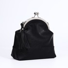 Сумка кросс-боди Vita на фермуаре, цвет чёрный - фото 22247418