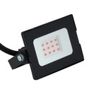 Светодиодный прожектор Volpe ULF-Q513, 10 Вт, Красный свет, IP65, черный - фото 10522266