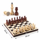 Шахматы обиходные, 29 х 29 х 3.9 см - фото 3075076