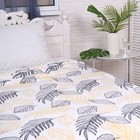 Плед-покрывало Калифорния, 180х200см, велсофт 280г/м, полиэстер - фото 33117401