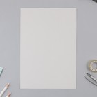 Картон белый  А4, 8 листов немелованный односторонний «1 сентября:Весёлые зверята» 200 г/м2 - Фото 2