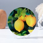 Тарелка декоративная «Лимон на ветке», настенная, D = 17,5 см - фото 10524998