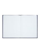 Книга учета А4, 144 листа, клетка, 200×290 мм, бумвинил, синий, блок офсетный - Фото 8