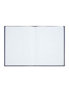 Книга учета А4, 144 листа, клетка, 200×290 мм, бумвинил, синий, блок офсетный - Фото 9