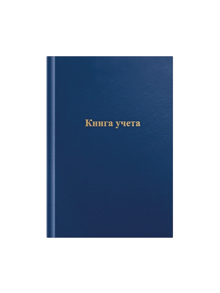 Книга учета, 192 листа, обложка бумвинил, блок газетный, клетка, синяя - Фото 1