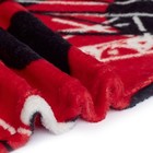 Плед Павлинка Леди Баг 150х200см, аэрософт 190г/м, 100% полиэстер - фото 22250730