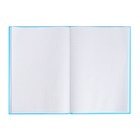 Книга учета, 96 листов, обложка картон 7БЦ, блок ГАЗЕТНЫЙ, клетка, цвет синий - фото 9737050