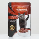 Влажный корм Chammy для кошек, говядина, кусочки в соусе, пауч, 100 г - фото 10525741