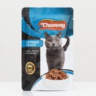 Влажный корм Chammy для кошек, курица, кусочки в соусе, пауч, 100 г - Фото 1