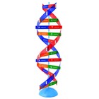 Набор для опытов «Молекула ДНК», в пакете - Фото 1