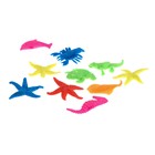 Набор для опытов «Летние опыты», в пакете - фото 27141437