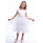 Платье для девочки «Каролина», рост 104 см, цвет белый - фото 108811943