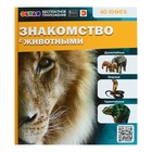 Энциклопедия 4D в дополненной реальности «Знакомство с животными», твёрдая обложка - фото 298753113