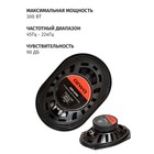 Автомобильная акустическая система AIWA ASM-6940, 16х23см, 300 Вт - фото 51435277 Автомобильная акустическая система AIWA ASM-6940, 16х23см, 300 Вт - фото 51435277
