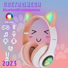 Детские наушники AIWA AW001, беспроводные, накладные, микрофон, 400 мАч, белый-розовый - фото 51327880