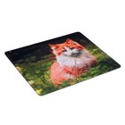 Коврик для компьютерной мыши XC-X3 №4 - фото 51310878