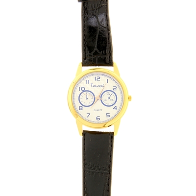 Часы наручные мужские Tenwei (Китай) — купить в Красноярске. Состояние:  Б/у. Другие наручные часы на интернет-аукционе Au.ru