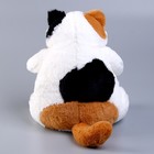 Мягкая игрушка «Кот», 35 см, цвет белый - фото 22254386