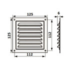 Решетка вентиляционная ZEIN Люкс РМ1212СР, 125 х 125 мм, с сеткой, металлическая, серебряная - фото 9284808