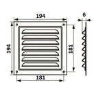 Решетка вентиляционная ZEIN Люкс РМ1919З, 190 х 190 мм, с сеткой, металлическая, золотая - фото 9178374