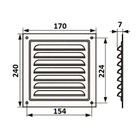 Решетка вентиляционная ZEIN Люкс РМ1724СР, 170 х 240 мм, с сеткой, металлическая, серебряная - фото 9874861