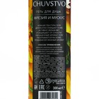 Гель для душа женский, 300 мл, аромат фрезия и мускус, URAL LAB - Фото 8