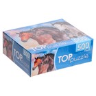 Пазл «Тройка диких скакунов», 500 элементов - фото 25681633