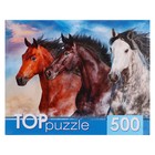 Пазл «Тройка диких скакунов», 500 элементов - фото 25681634