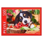 Пазл «Щенок Бернского зенненхунда», 500 элементов - фото 24427000